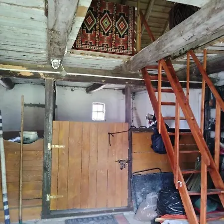 Agroturystyka - Barbara Pawlik *